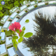 ARTICLE DECORATIVE MATERIALS SUNSET 80CM