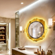 LED Artistic Bathroom Mirror Gerber Nav 6001
