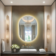 Artistic LED Oval Bathroom Mirror