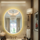 Artistic LED Oval Bathroom Mirror